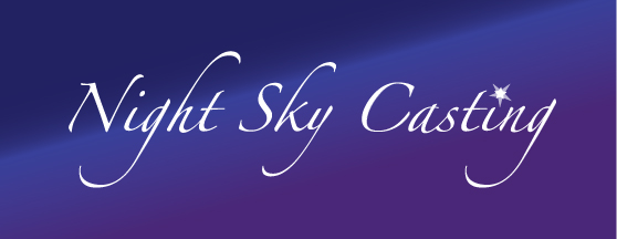 Night Sky Casting Bay Area Logo Design