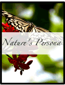 Natures's Persona - Photography Series by Susan Searway Art & Design