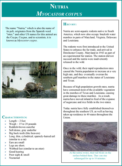 Nutria Fact Sheet