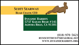 Dynamic Rabbits Business Card Design