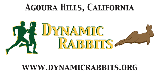 Dynamic Rabbits  Logo Design