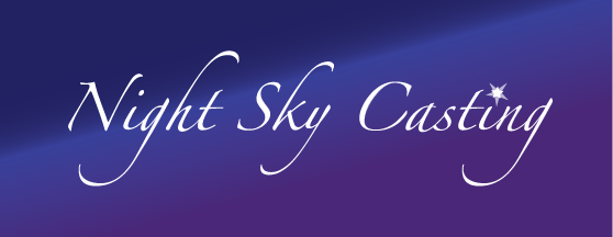 Night Sky Casting  Logo Design