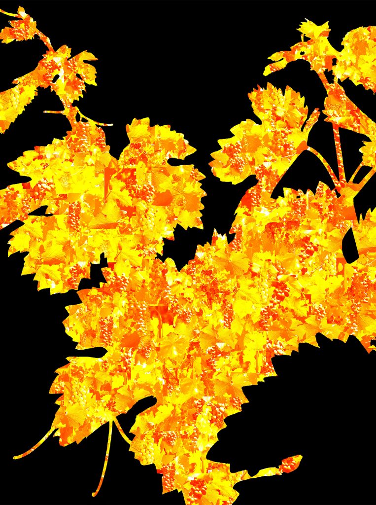 Merlot Vine | Digital Art | Susan Searway-Fertig